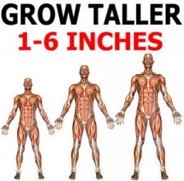 Grow Taller 1-6 Inches Grow Taller 1-6 Inches